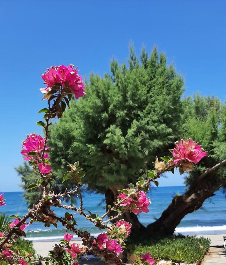 Erofili Aparthotel Agia Marina Esterno foto